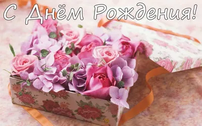 С Днём рождения, Анна! (Конь Въ Пальто) / Стихи.ру