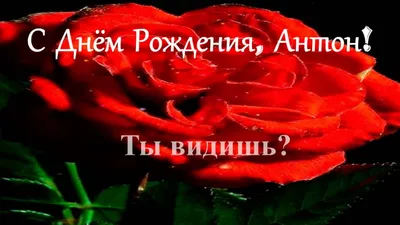 Подарить прикольную открытку с днём рождения Антону онлайн - С любовью,  Mine-Chips.ru