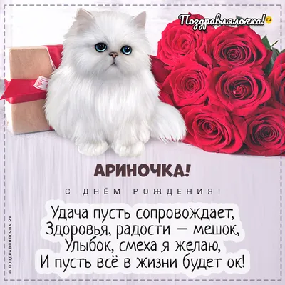 Ариночка, с Днём Рождения: гифки, открытки, поздравления - Аудио, от  Путина, голосовые