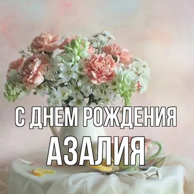 Букет цветов Азалия 💐 заказать в Москве с доставкой по цене 7 290 ₽ |  Флористическое кафе VioletFlowers 🌷