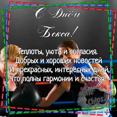 Федерация бокса России поздравила Гассиева с днем рождения — 12.10.2020 — В  России, Срочные новости, Спорт на РЕН ТВ