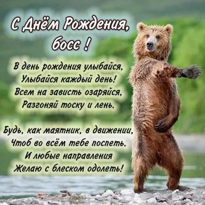 Набор шаров руководителю на день рождения Супер босс купить в Москве за 9  970 руб.