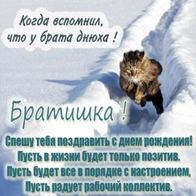 Прикольная смешная картинка с днем рождения брат - поздравляйте бесплатно  на otkritochka.net