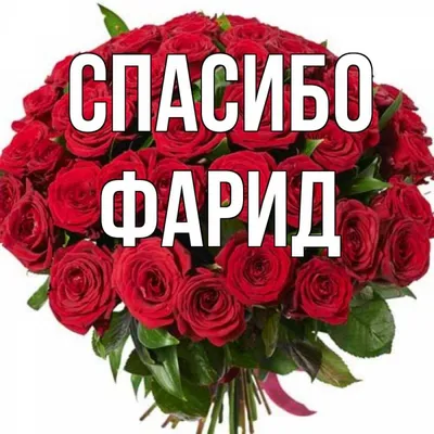 user8407439715755 (@ramzia52)'s videos with оригинальный звук -  user8407439715755 | TikTok