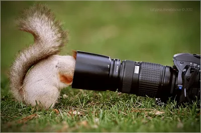 Зачем на день рождения нужен профессиональный фотограф? — Сайт  профессионального фотографа в Киеве | Olegasphoto