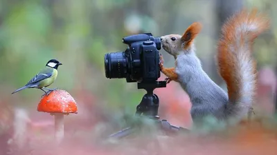 Детский и семейный фотограф | Facebook