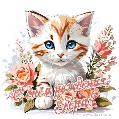 С Днём Рождения, Геральт! | ВКонтакте