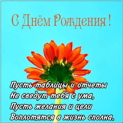 🌷Сегодня свой День рождения отмечает Осинина Елена Павловна, заместитель главного  бухгалтера ГАУК НО \"РУКОП\"! .. | ВКонтакте