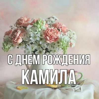 Amina Gasanova - С днём рождения КАМИЛА💕🎉 Рости на радость... | Facebook