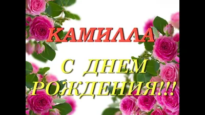 С Днем рождения, Камилочка!