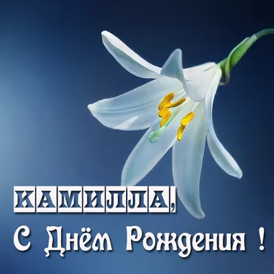 С Днём рождения, актриса Камилла Хакимова @nugurachock ! 🎁 🎉 🎶 Дорогая  Камилла Ришатовна ! Чудесно, что этот новый год Вашей жизни Вы… | Instagram