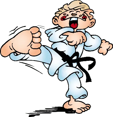 Male Martial Arts Karate Cake Topper, Karate Decor, Karate Kid, Boys Cake  LT1045 | eBay