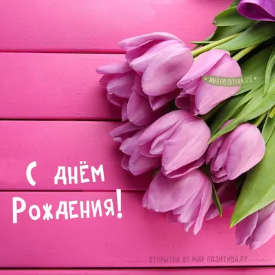 Поздравь креативными картинками девушку с днем рождения | Ramo de  tulipanes, Imágenes de tulipanes, Tulipanes de color púrpura