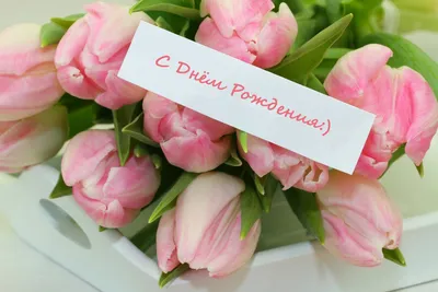 Открытки с днём рождения тюльпаны - 72 фото