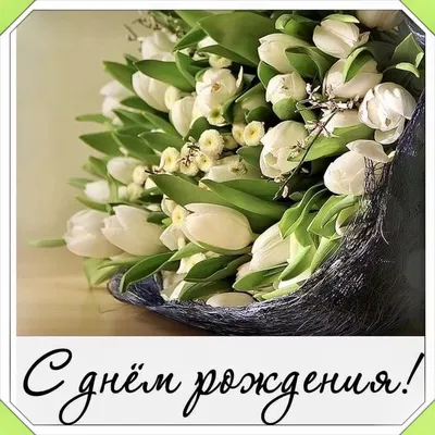 51 белый тюльпан в букете на День Студента за 10 490 руб. | Бесплатная  доставка цветов по Москве