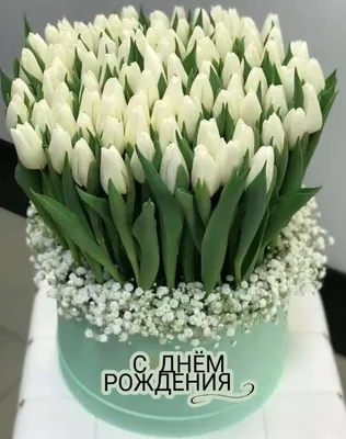 Открытка: Весенние тюльпаны | С днем рождения, Открытки, День рождения