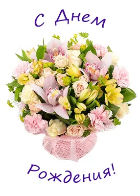 Аничка, С Днем Рождения! Желаем тебе... - Lycaste Orchid Shop | Facebook