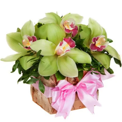 Купить Цветы в коробке Luxury Flowers Розы и орхидеи в Москве | Заказать  Цветы в коробке Luxury Flowers Розы и орхидеи недорого с доставкой
