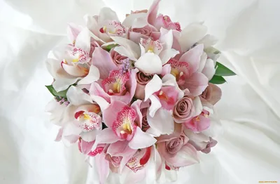 Орхидеи в коробке | Букет из орхидей, Свадебные цветочные композиции,  Орхидеи