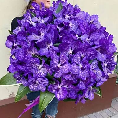 С днем рождения орхидеи картинки - 68 фото