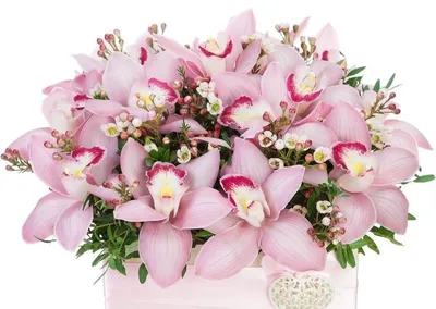 Картинки с днем рождения с орхидеями (44 фото) » Красивые картинки,  поздравления и пожелания - Lubok.club