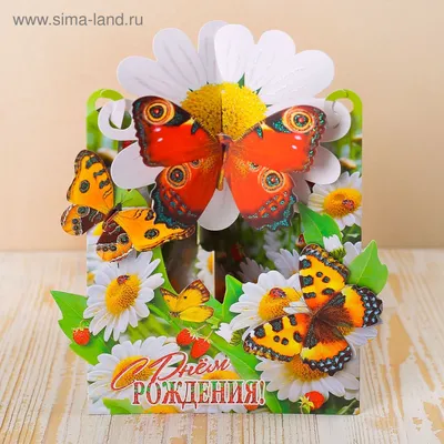 Открытка трёхмерная \"С Днем Рождения!\" бабочки, ромашки (3696287) - Купить  по цене от 97.00 руб. | Интернет магазин SIMA-LAND.RU