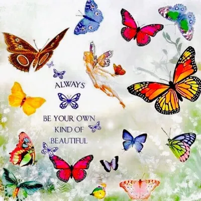 Красивая картинка с бабочками и стихами Сашеньке