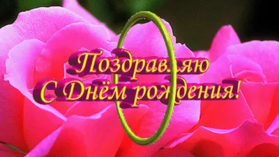 С ДНЁМ РОЖДЕНИЯ, КАТЯ!🌸 Поздравляем с днём рождения связующую  волейбольного клуба \"Динамо-Метар\" Екатерину Лезину!👏 Желаем все невзгоды,  … | Instagram