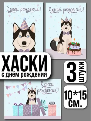 Сибирский хаски в шапке на день рождения с подарками на день рождения на  белом столе Фон Обои Изображение для бесплатной загрузки - Pngtree