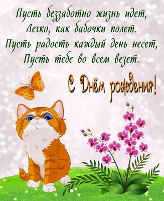Открытка с красивым котенком и добрым пожеланием — Скачайте на Davno.ru
