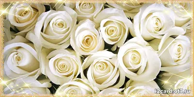 открытка на День рождения Ларисе - пожелание и розы на сияющем фоне
