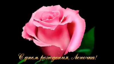 С днем рождения, Елена Александровна! • БИПКРО