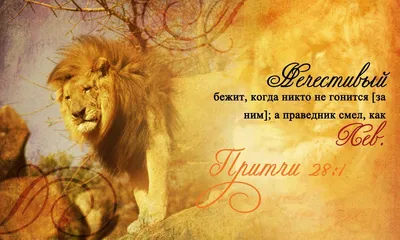 Лев и львица – купить по низкой цене (1490 руб) у производителя в Москве |  Интернет-магазин «3Д-Светильники»