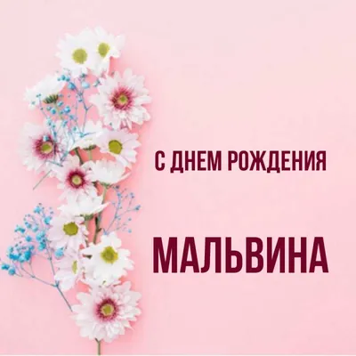 Поздравления с Днём Рождения Мальвина 🌸 Стихи, от Путина (звуковое) на  телефон, проза, открытки