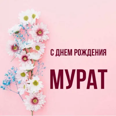 С днём Рождения, Мурат!👼🏻 ⠀ ______ Альтернатива голубому для мальчиков: •  зелёный в разных оттенках; • синий; • серебро/золото; •… | Instagram