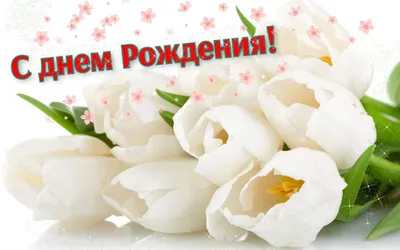 С днем рождения, Наталья Александровна! • БИПКРО