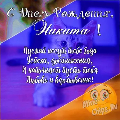 Подарить прикольную открытку с днём рождения Никите онлайн - С любовью,  Mine-Chips.ru