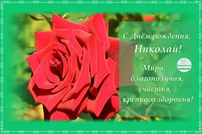 С Днем рождения, Николай Евгеньевич! | 01.02.2022 | Подольск - БезФормата