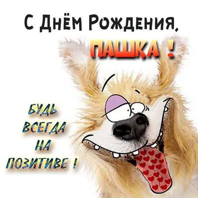 Паша @Zond с Днём Рождения!!! (фото о рыбалке №106430)