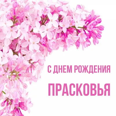 Praskovya, с днём рождения! - Круизный форум