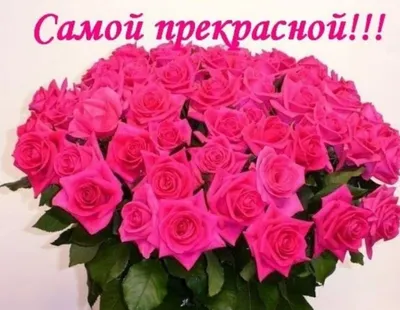 Открытка с именем РАЕЧКА С днем рождения синие розы. Открытки на каждый  день с именами и пожеланиями.