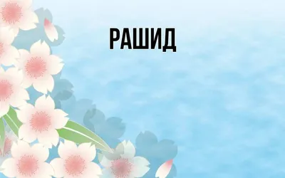 Рашид Темрезов поздравил с Днем рождения руководителя Федерального  казначейства Романа Артюхина