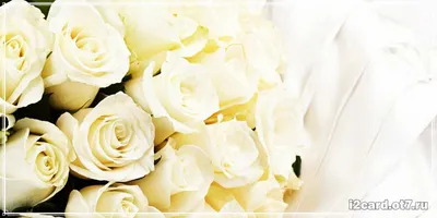 Роза! С днём рождения! Красивая открытка для Розы! Белые розы. Открытка с  блёстками. Букет роз имениннице.
