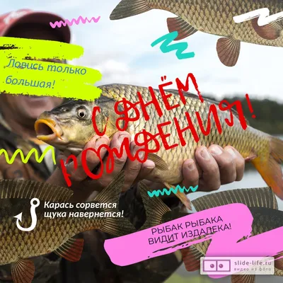Поздравительная открытка с клоунами рыбы с рыбами, день рождения надписи.  Векторной графики Иллюстрация штока - иллюстрации насчитывающей сторонника,  аквариум: 189098015