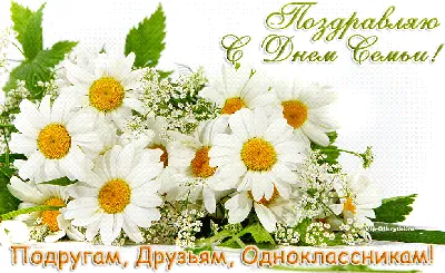 Красивая открытка С Днем Семьи | Macro photography flowers, Freesia  flowers, Blue bell flowers