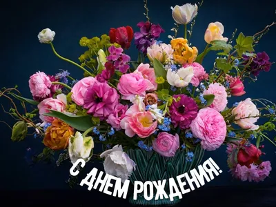 Картинки амира с днем рождения красивые цветы с пожеланиями (58 фото) »  Картинки и статусы про окружающий мир вокруг