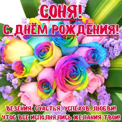 Поздравляем с Днем Рождения Софию (Софочка)