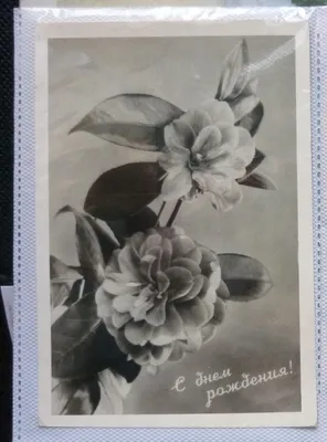 Советские открытки с днем рождения женщине - 77 фото