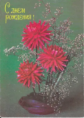 Винтаж: 1916 год. Поздравляю! Антикварная открытка. Винтаж. Незабудки  купить в интернет-магазине Ярмарка Мастеров по цене 1500 ₽ – SU1PUBY |  Открытки винтажные, Щелково - доставка по России