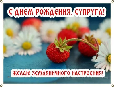 Для любимого с днем рождения 🥰#сднемрождения #поздравление #мужжена #... |  TikTok